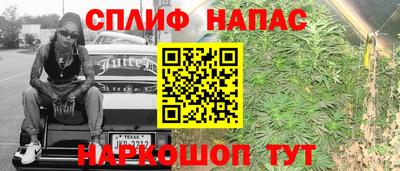 МДПВ Краснодар
