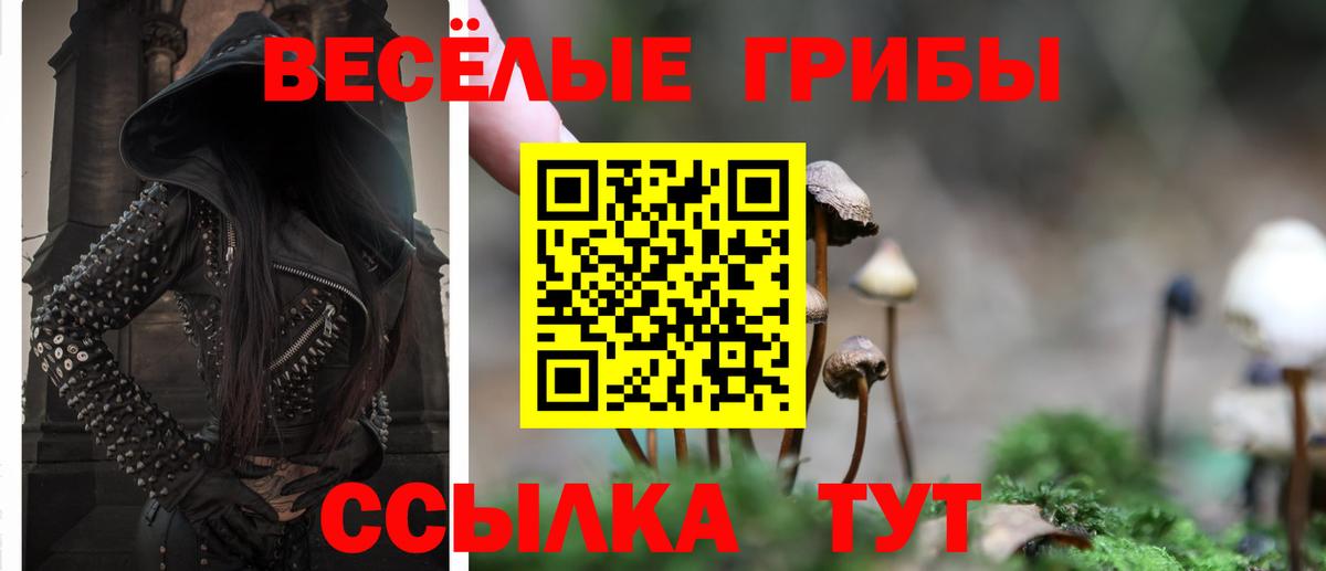 Псилоцибиновые грибы прущие грибы Кизляр