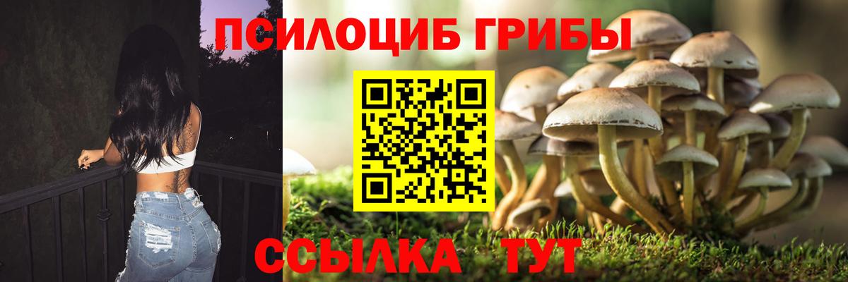 Псилоцибиновые грибы прущие грибы  Вход с VPN  Кизляр  Псилоцибиновые грибы мицелий 